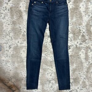 Classic Blue Low Rise Skinny Jeans